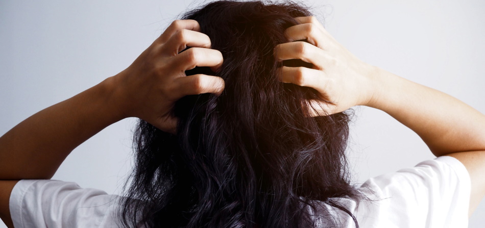 How to Avoid Humidity-Related Hair Damage / Winter Tree Studios
